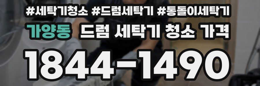 가양동 드럼 세탁기 청소 가격
