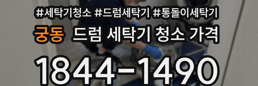 궁동 드럼 세탁기 청소 가격