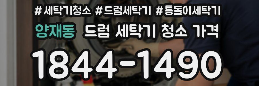 양재동 드럼 세탁기 청소 가격