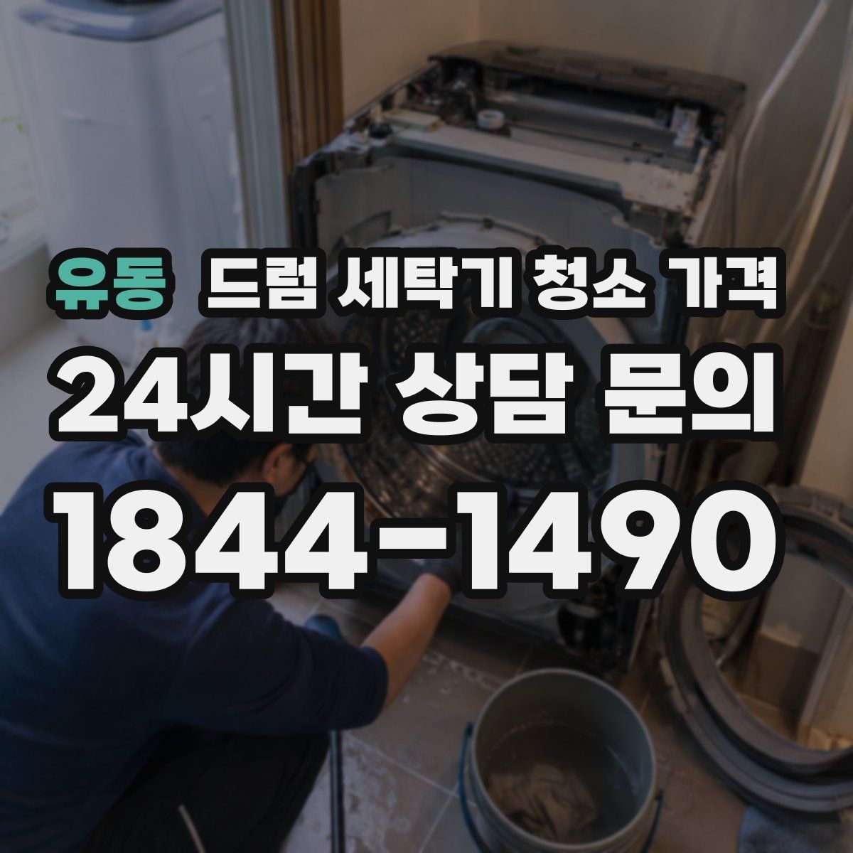 유동 드럼 세탁기 청소 가격