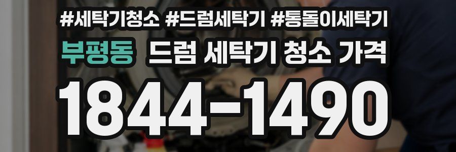 부평동 드럼 세탁기 청소 가격