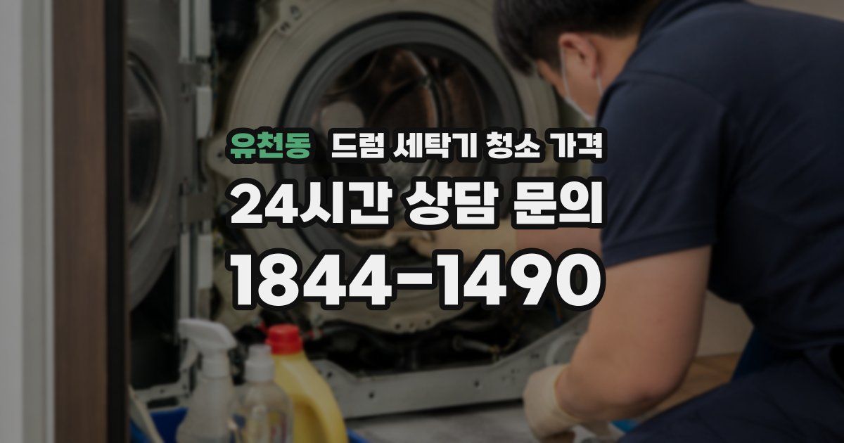 유천동 드럼 세탁기 청소 가격