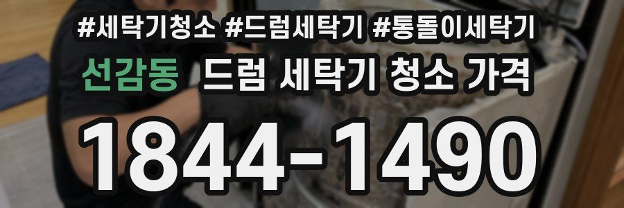 선감동 드럼 세탁기 청소 가격