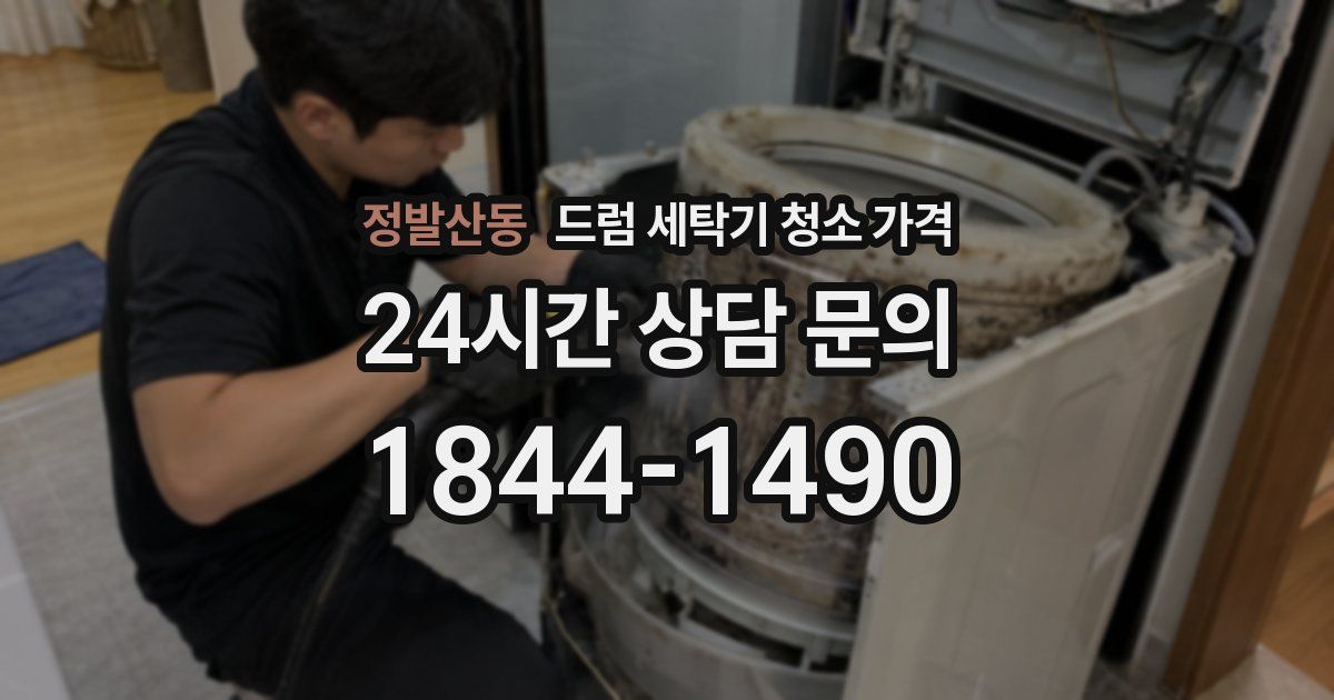 정발산동 드럼 세탁기 청소 가격