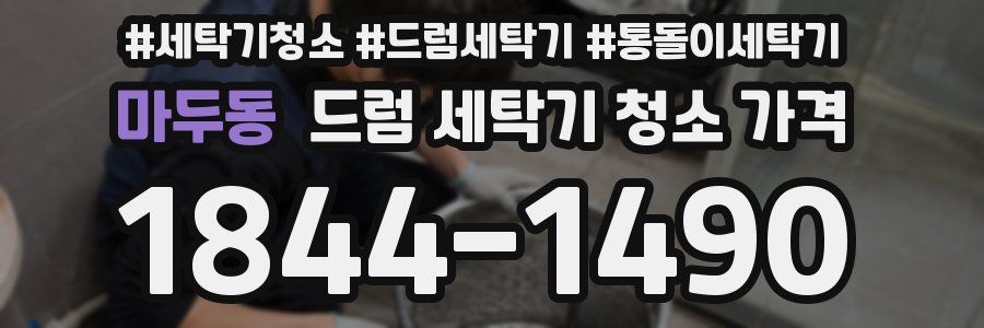 마두동 드럼 세탁기 청소 가격