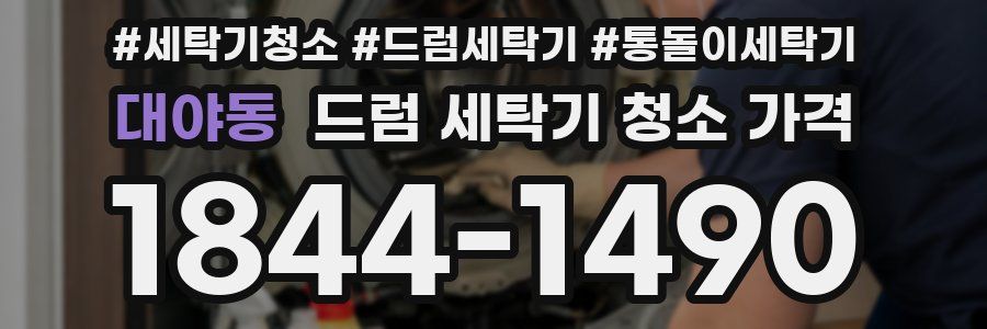 대야동 드럼 세탁기 청소 가격