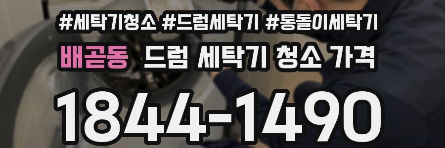배곧동 드럼 세탁기 청소 가격