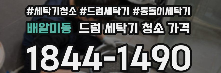 배알미동 드럼 세탁기 청소 가격