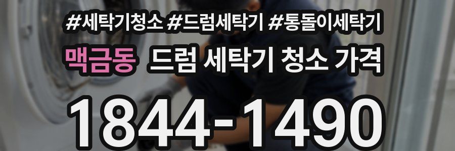맥금동 드럼 세탁기 청소 가격