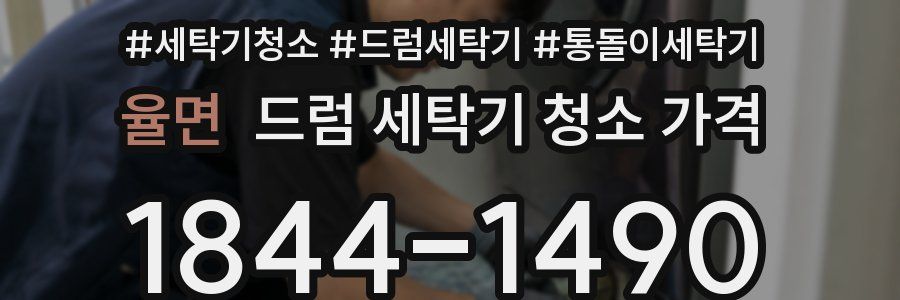 율면 드럼 세탁기 청소 가격