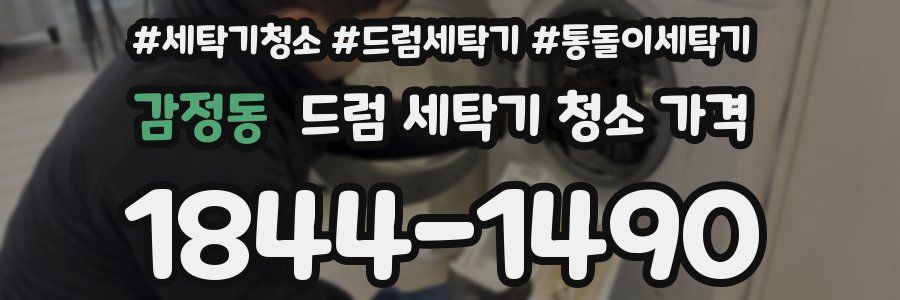 감정동 드럼 세탁기 청소 가격