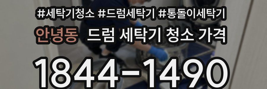 안녕동 드럼 세탁기 청소 가격