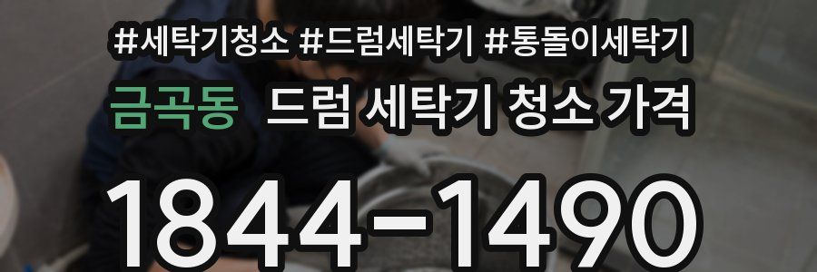 금곡동 드럼 세탁기 청소 가격