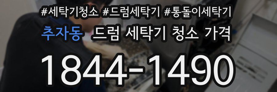 추자동 드럼 세탁기 청소 가격