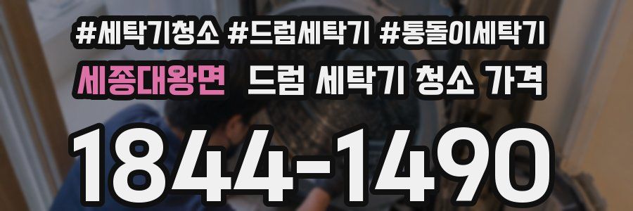 세종대왕면 드럼 세탁기 청소 가격