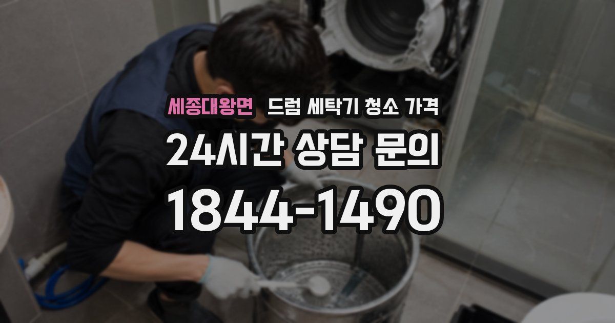 세종대왕면 드럼 세탁기 청소 가격