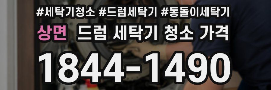 상면 드럼 세탁기 청소 가격