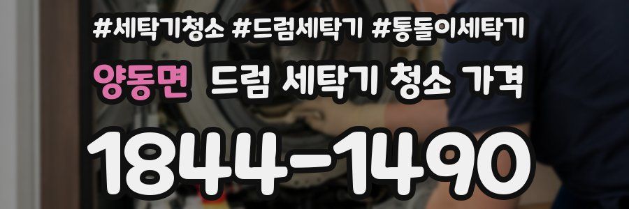 양동면 드럼 세탁기 청소 가격