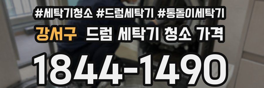 강서구 드럼 세탁기 청소 가격