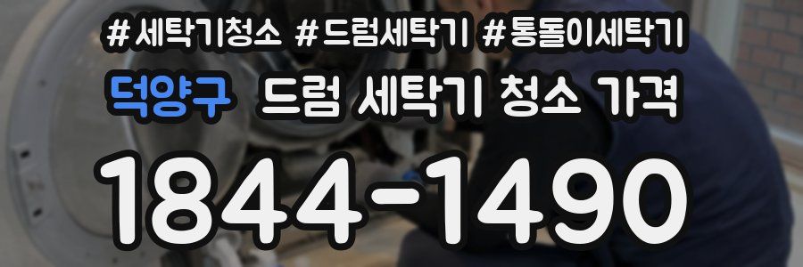 덕양구 드럼 세탁기 청소 가격