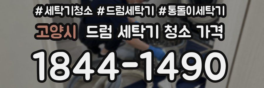 고양시 드럼 세탁기 청소 가격