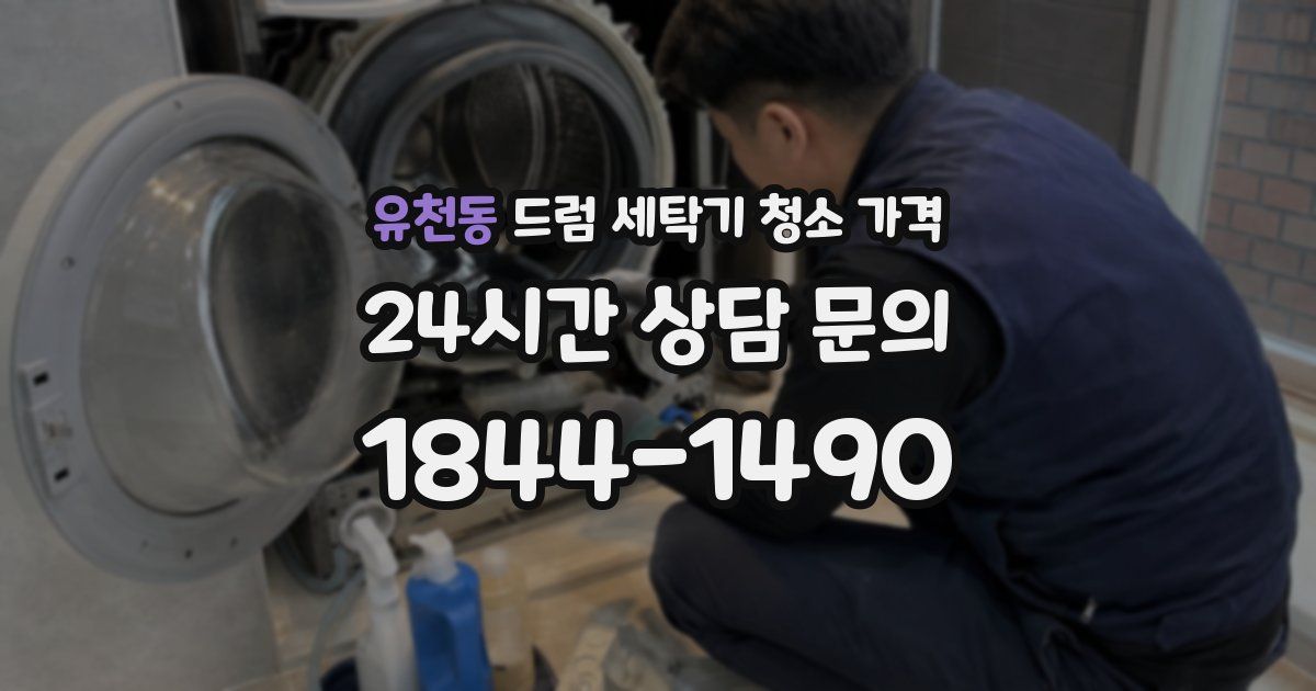 유천동 드럼 세탁기 청소 가격