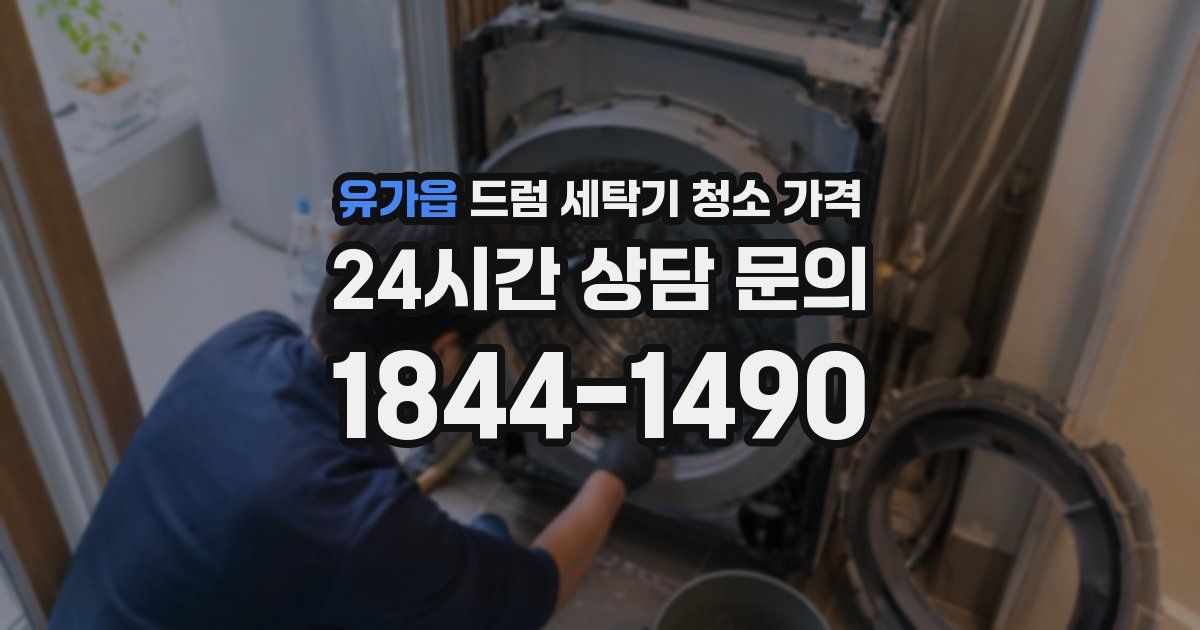 유가읍 드럼 세탁기 청소 가격