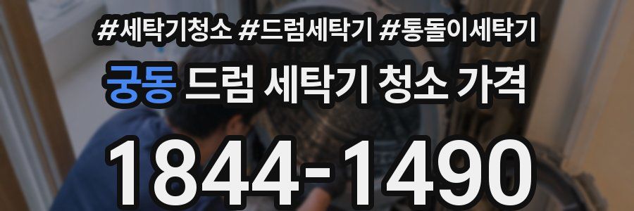 궁동 드럼 세탁기 청소 가격