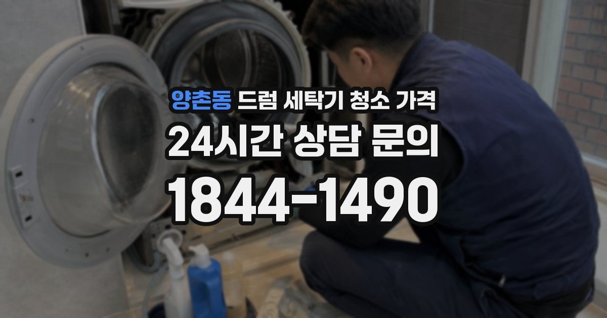 양촌동 드럼 세탁기 청소 가격