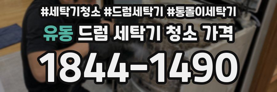 유동 드럼 세탁기 청소 가격