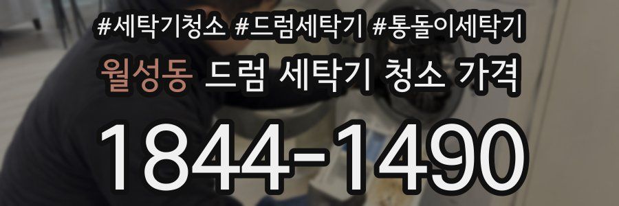 월성동 드럼 세탁기 청소 가격