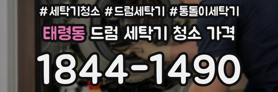 태령동 드럼 세탁기 청소 가격