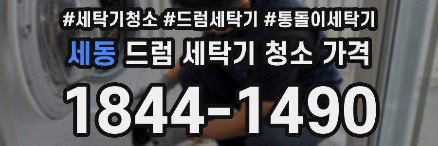 세동 드럼 세탁기 청소 가격