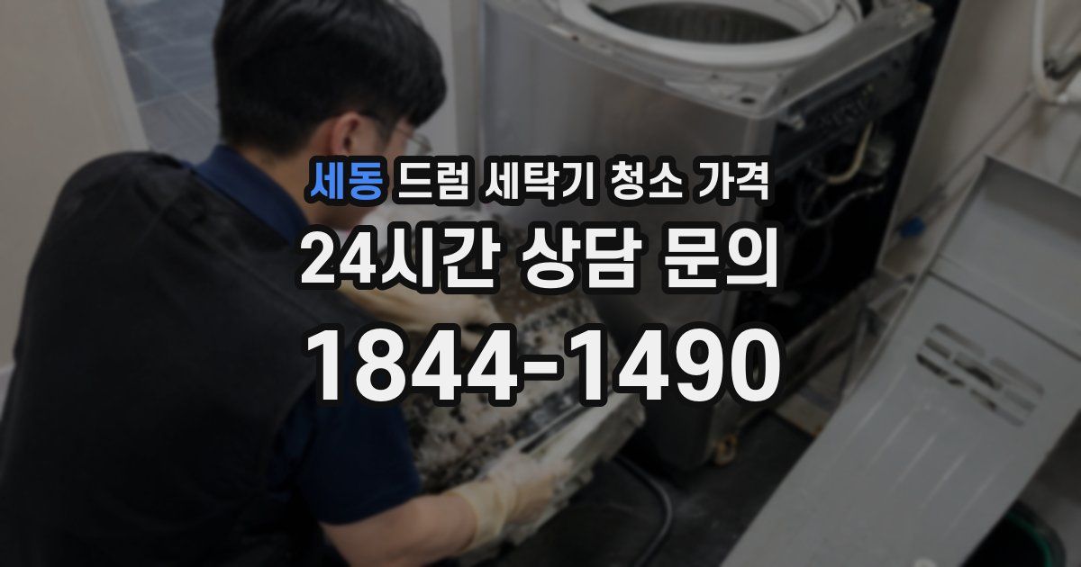 세동 드럼 세탁기 청소 가격