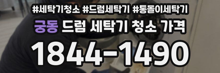 궁동 드럼 세탁기 청소 가격