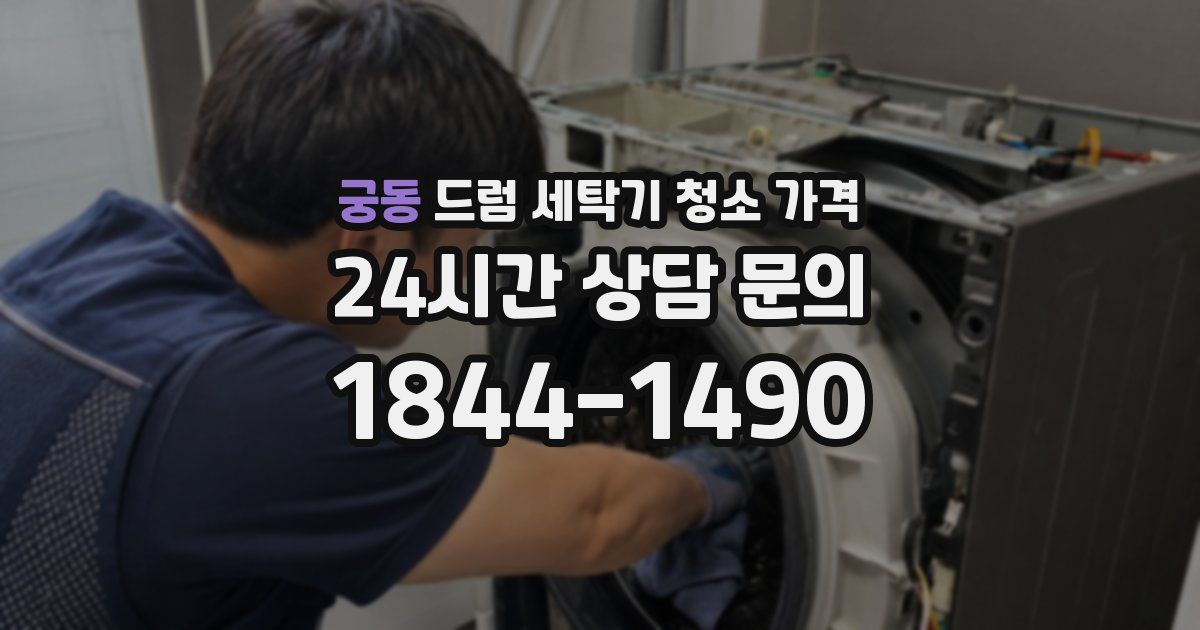 궁동 드럼 세탁기 청소 가격