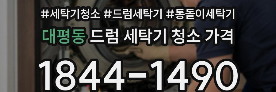 대평동 드럼 세탁기 청소 가격