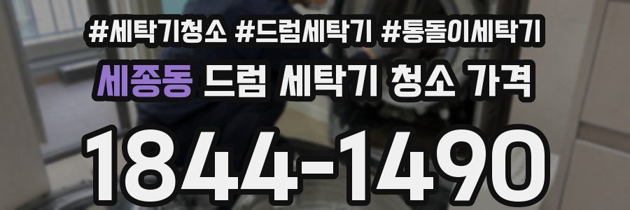 세종동 드럼 세탁기 청소 가격