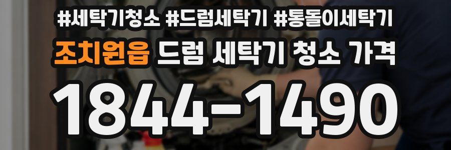 조치원읍 드럼 세탁기 청소 가격