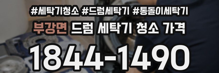 부강면 드럼 세탁기 청소 가격