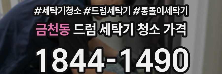 금천동 드럼 세탁기 청소 가격