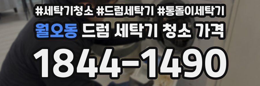 월오동 드럼 세탁기 청소 가격