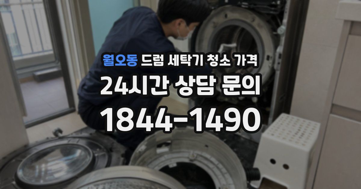 월오동 드럼 세탁기 청소 가격