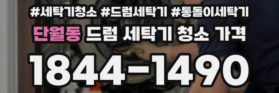 단월동 드럼 세탁기 청소 가격