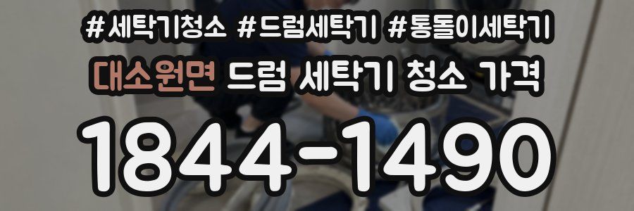 대소원면 드럼 세탁기 청소 가격