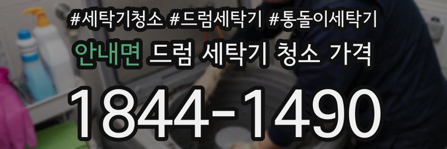 안내면 드럼 세탁기 청소 가격