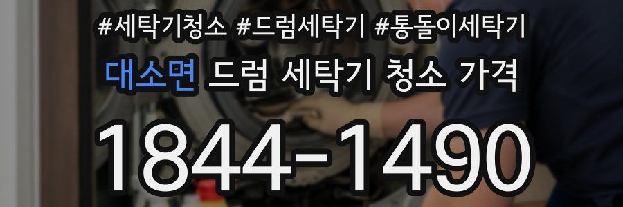 대소면 드럼 세탁기 청소 가격