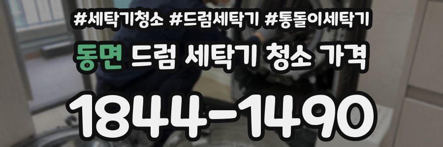 동면 드럼 세탁기 청소 가격