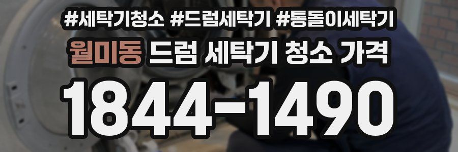 월미동 드럼 세탁기 청소 가격