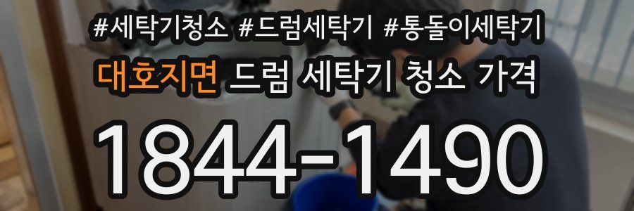 대호지면 드럼 세탁기 청소 가격